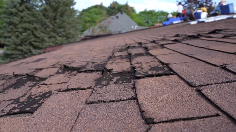 Best Sheet Metal Roofing  in Willowbrook, CA