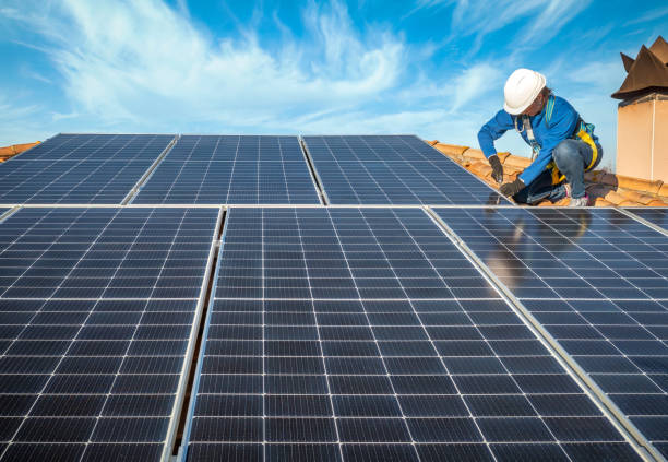 Best Roof Moss and Algae Removal  in Willowbrook, CA