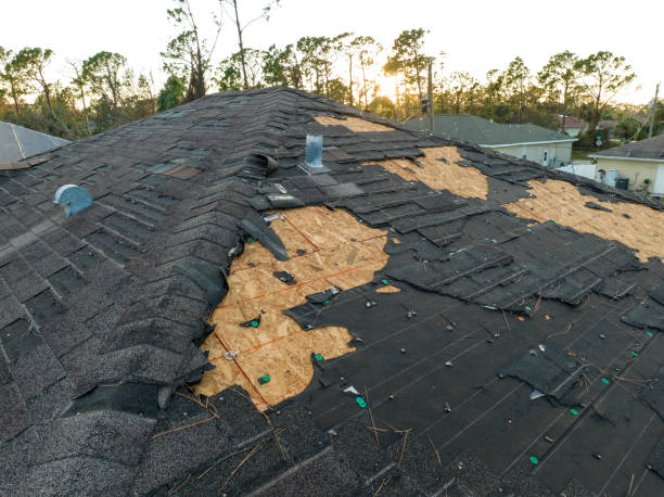Best Roof Maintenance and Cleaning  in Willowbrook, CA